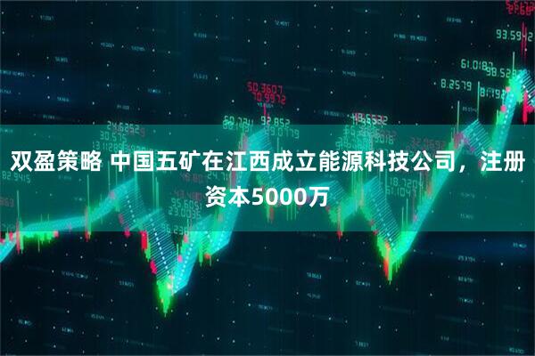 双盈策略 中国五矿在江西成立能源科技公司，注册资本5000万